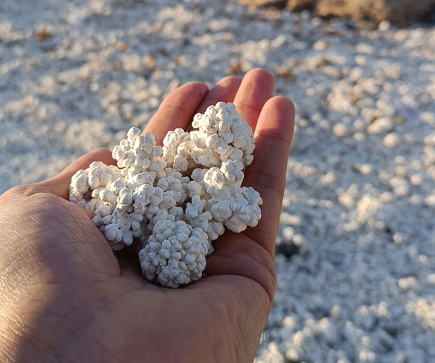 spiaggia popcorn Corralejo