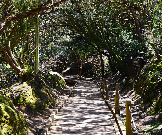 escursione Anaga Tenerife